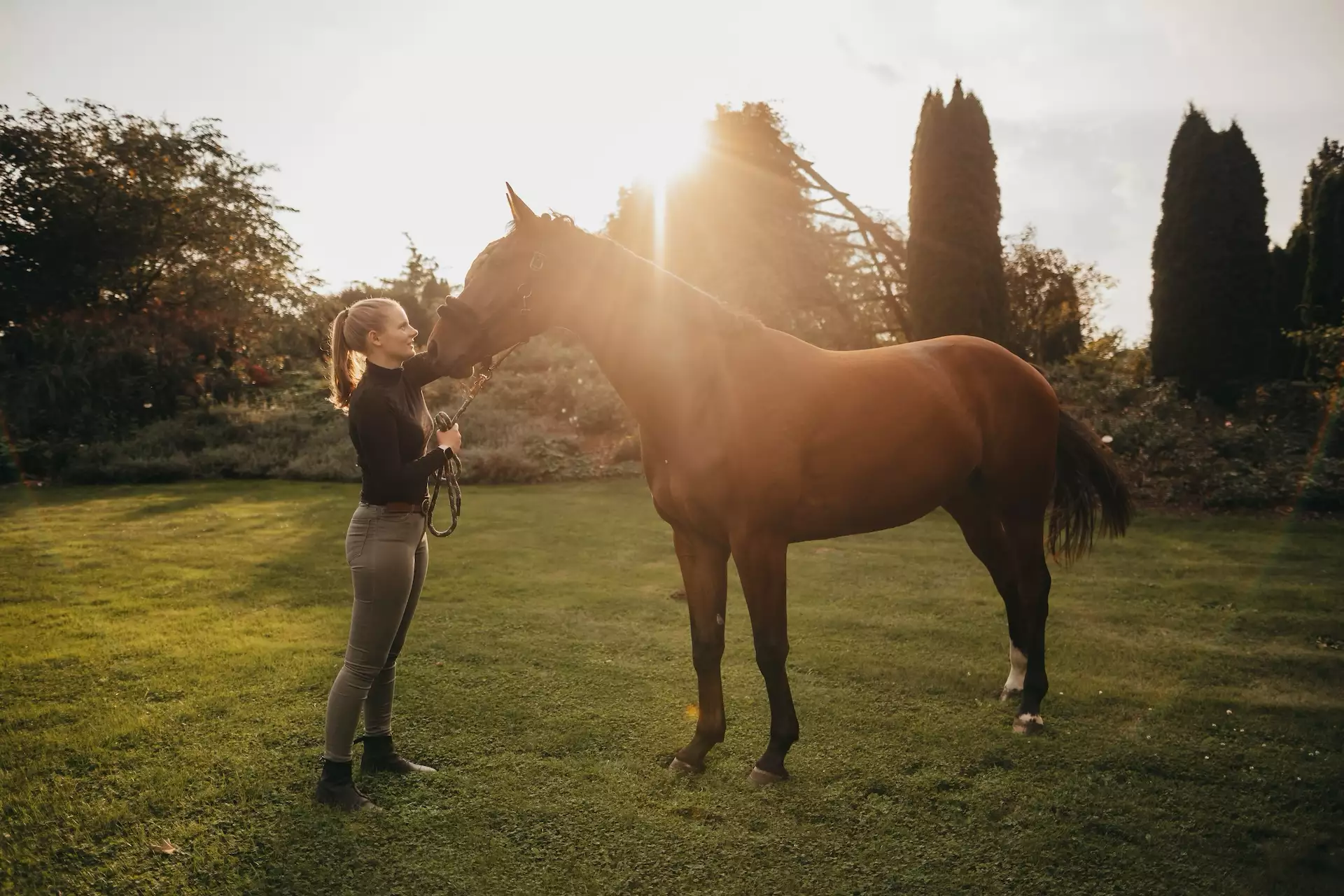 Junge Frau im schwarzen Rollkragenpullover hält liebevoll ein braunes Pferd am Halfter im grünen Garten bei warmem Sonnenuntergang.